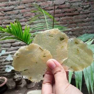 Sermier (500g)