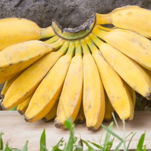 Pisang Saba Frozen