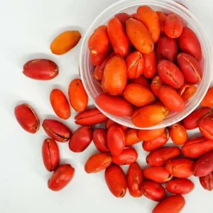 Kulit Melinjo (1kg)
