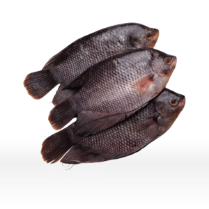 Gurame (550g)
