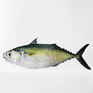 Ikan Kembung Banjar