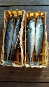 Ikan Pindang Salem