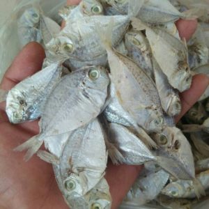 Ikan Asin Petek 500g