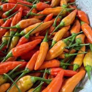 Cabe Rawit Indo 500g